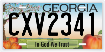 GA license plate CXV2341