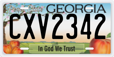 GA license plate CXV2342