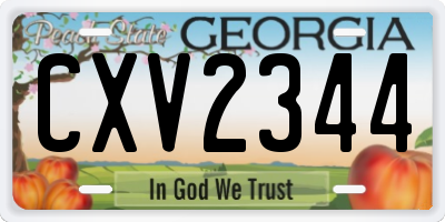 GA license plate CXV2344