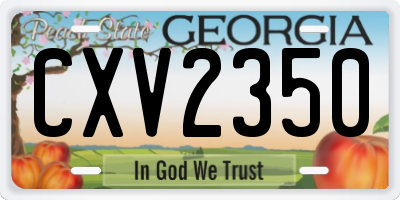GA license plate CXV2350