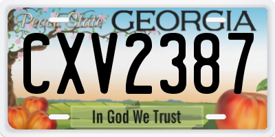 GA license plate CXV2387