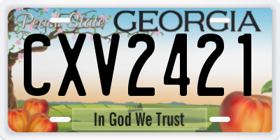 GA license plate CXV2421
