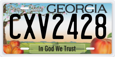 GA license plate CXV2428