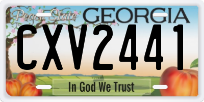 GA license plate CXV2441