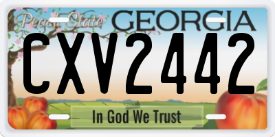 GA license plate CXV2442