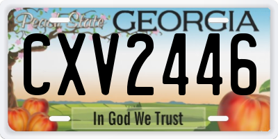GA license plate CXV2446