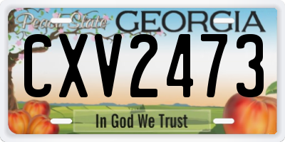 GA license plate CXV2473
