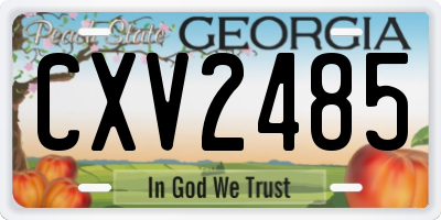 GA license plate CXV2485