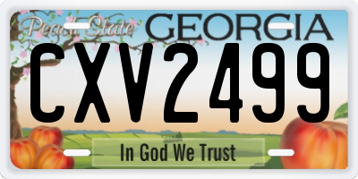 GA license plate CXV2499