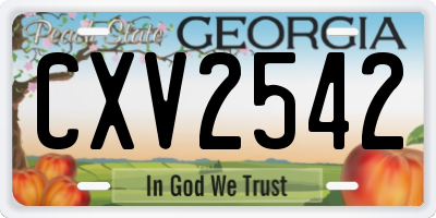 GA license plate CXV2542