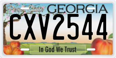 GA license plate CXV2544