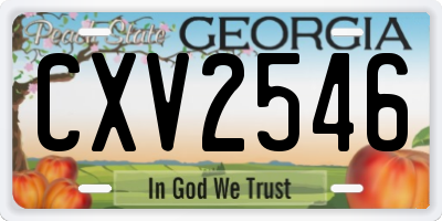 GA license plate CXV2546