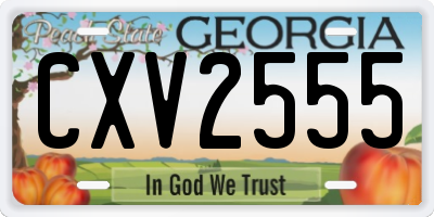 GA license plate CXV2555