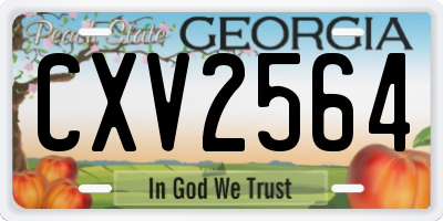 GA license plate CXV2564