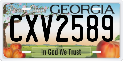 GA license plate CXV2589