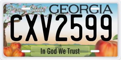 GA license plate CXV2599