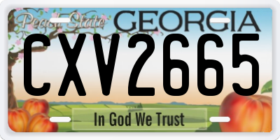 GA license plate CXV2665