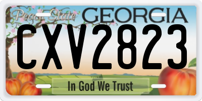 GA license plate CXV2823