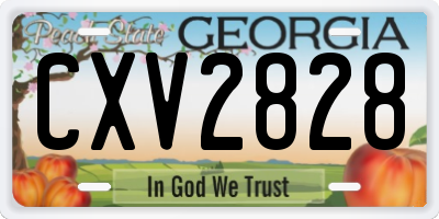 GA license plate CXV2828