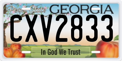 GA license plate CXV2833