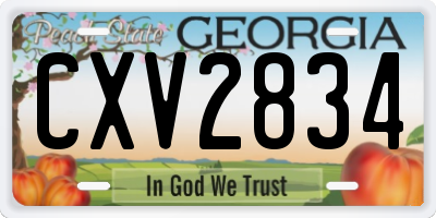 GA license plate CXV2834