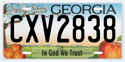 GA license plate CXV2838