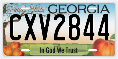 GA license plate CXV2844
