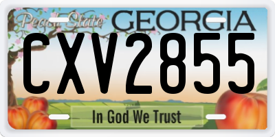 GA license plate CXV2855