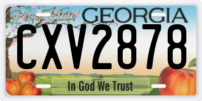 GA license plate CXV2878
