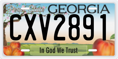 GA license plate CXV2891