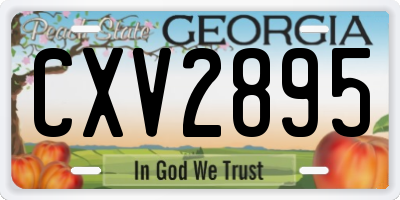 GA license plate CXV2895