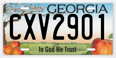 GA license plate CXV2901
