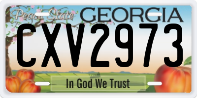 GA license plate CXV2973