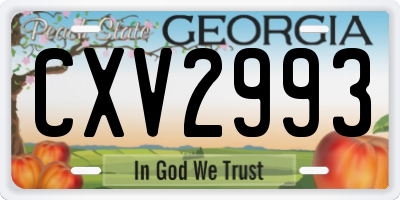 GA license plate CXV2993