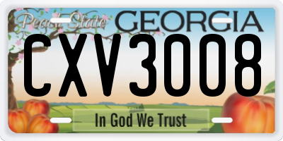 GA license plate CXV3008