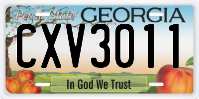 GA license plate CXV3011