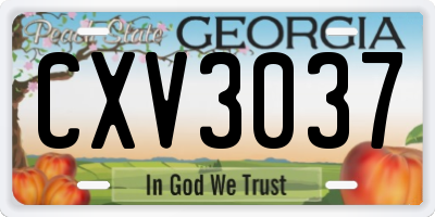 GA license plate CXV3037