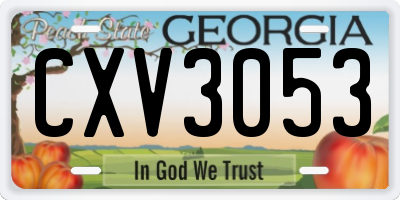 GA license plate CXV3053