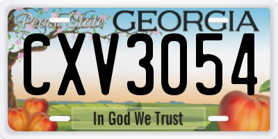 GA license plate CXV3054