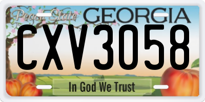 GA license plate CXV3058