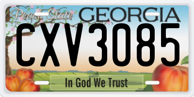 GA license plate CXV3085