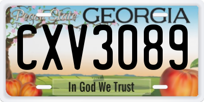 GA license plate CXV3089