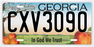 GA license plate CXV3090