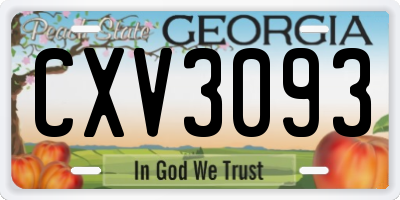 GA license plate CXV3093