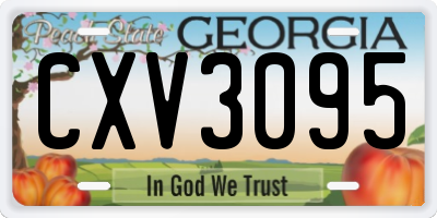 GA license plate CXV3095