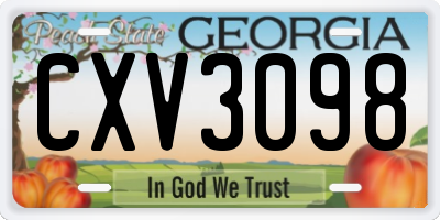 GA license plate CXV3098