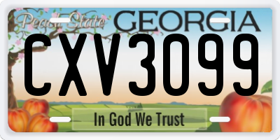 GA license plate CXV3099