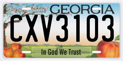 GA license plate CXV3103
