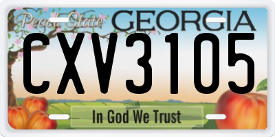 GA license plate CXV3105