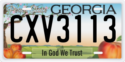GA license plate CXV3113